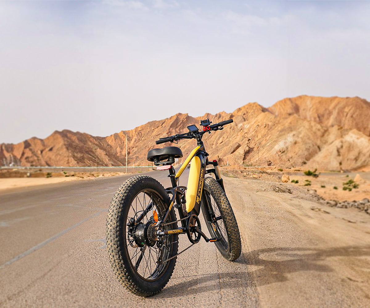 What Is the Best Electric Bike? Explore Top Picks From CYCROWN