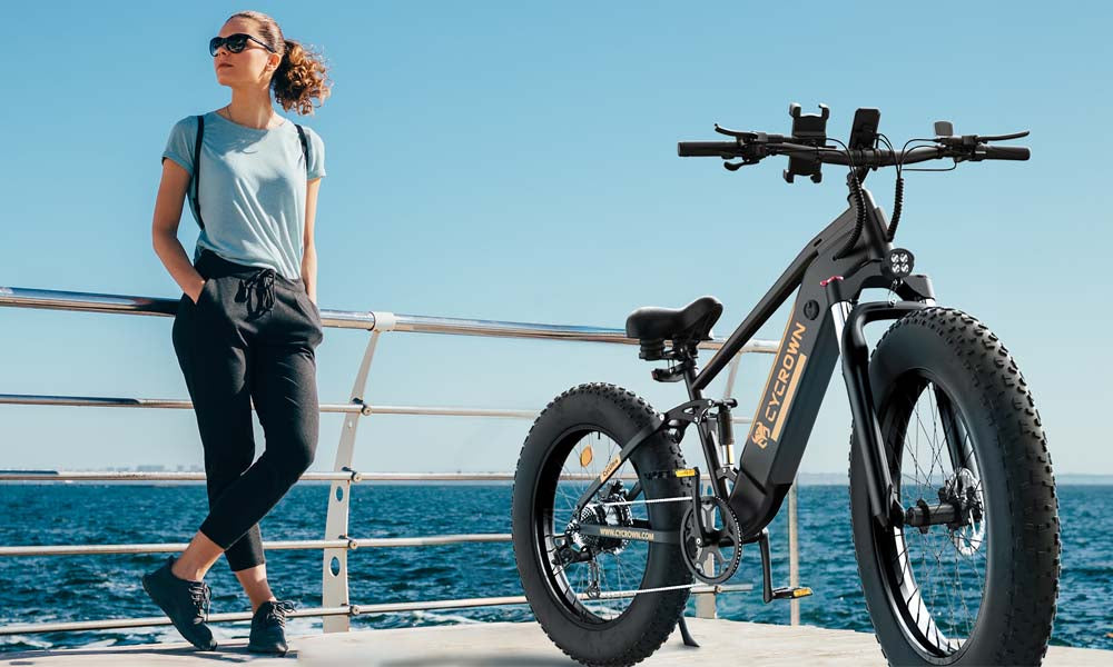 How to Choose the Best Electric Bike?