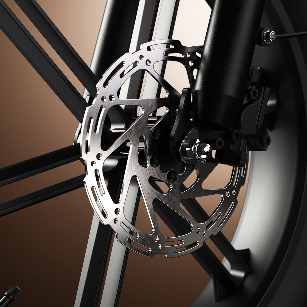 CycHunter 2.0 Moped-Style Ebike