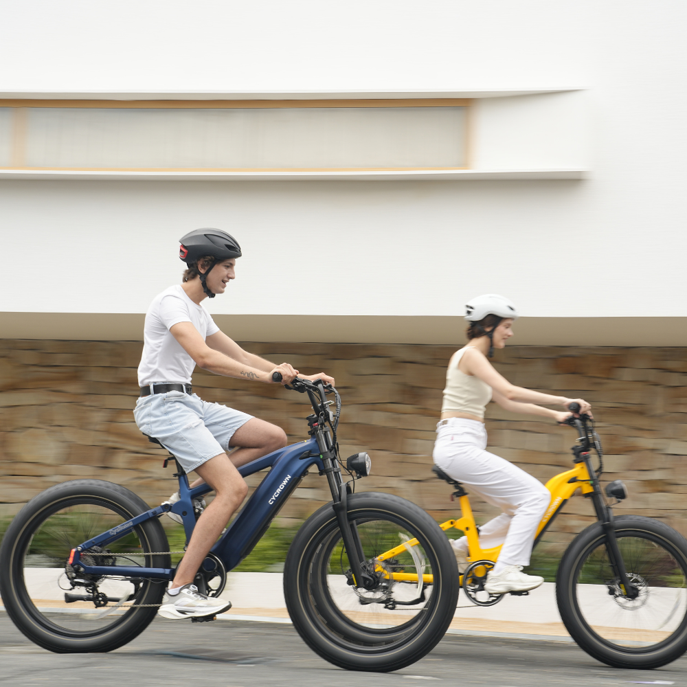 Roma All-Terrain Step-through Ebike