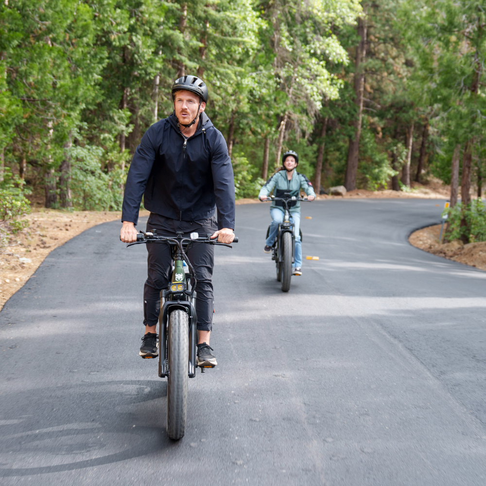 Nomad Pro Fat Tire Ebike