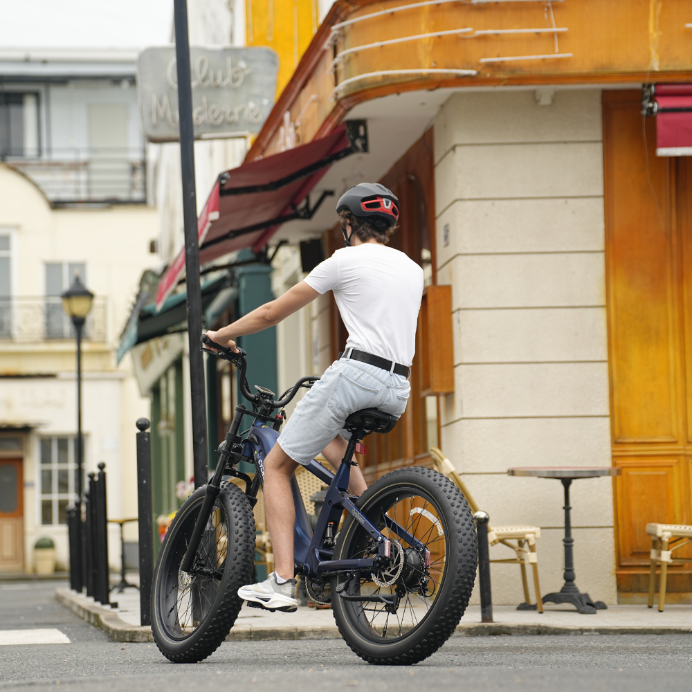 Roma All-Terrain Ebike