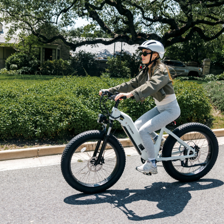 CycVerve Fat Tire Ebike