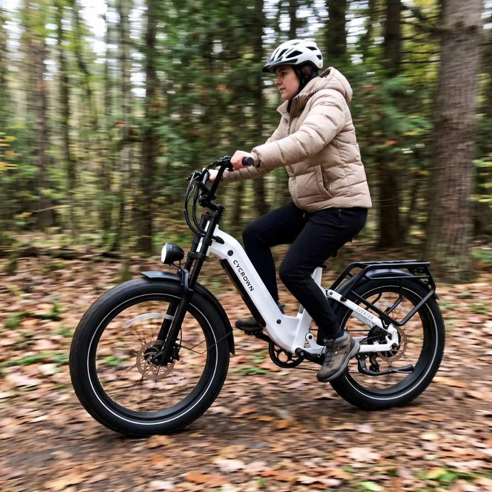 Roma All-Terrain Ebike