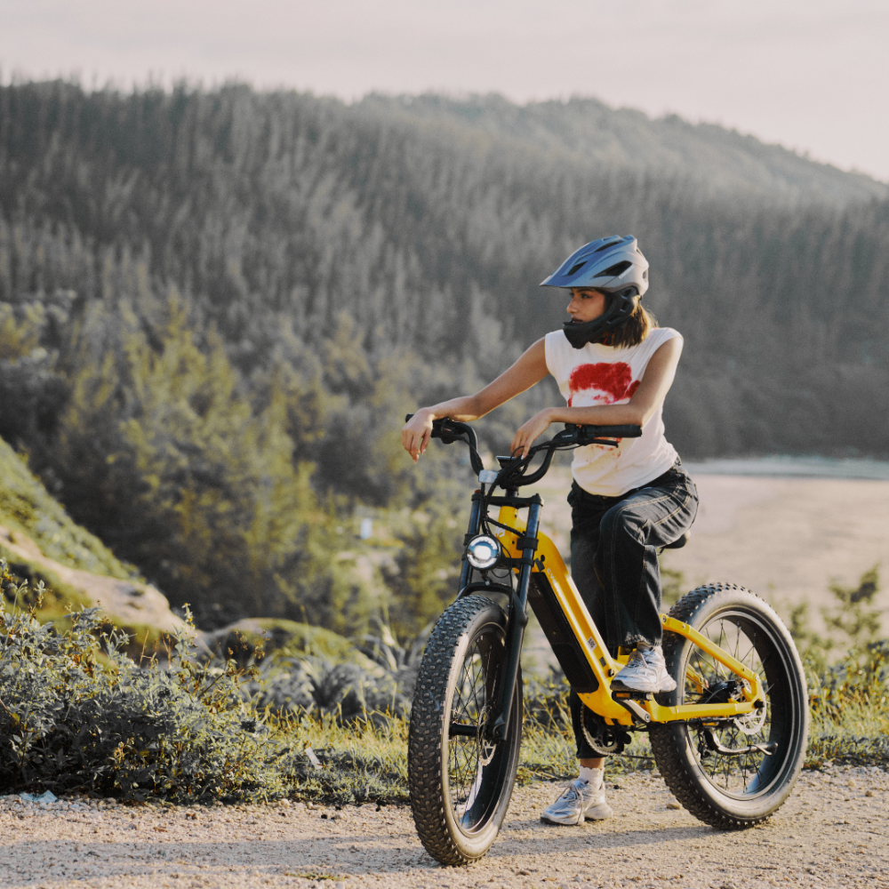 Roma All-Terrain Ebike