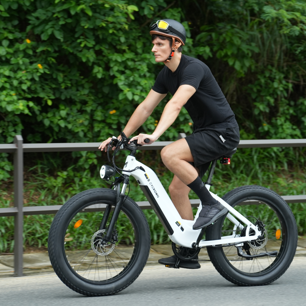CycVerve Fat Tire Ebike