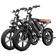 CycHunter Moped-Style E-Bike