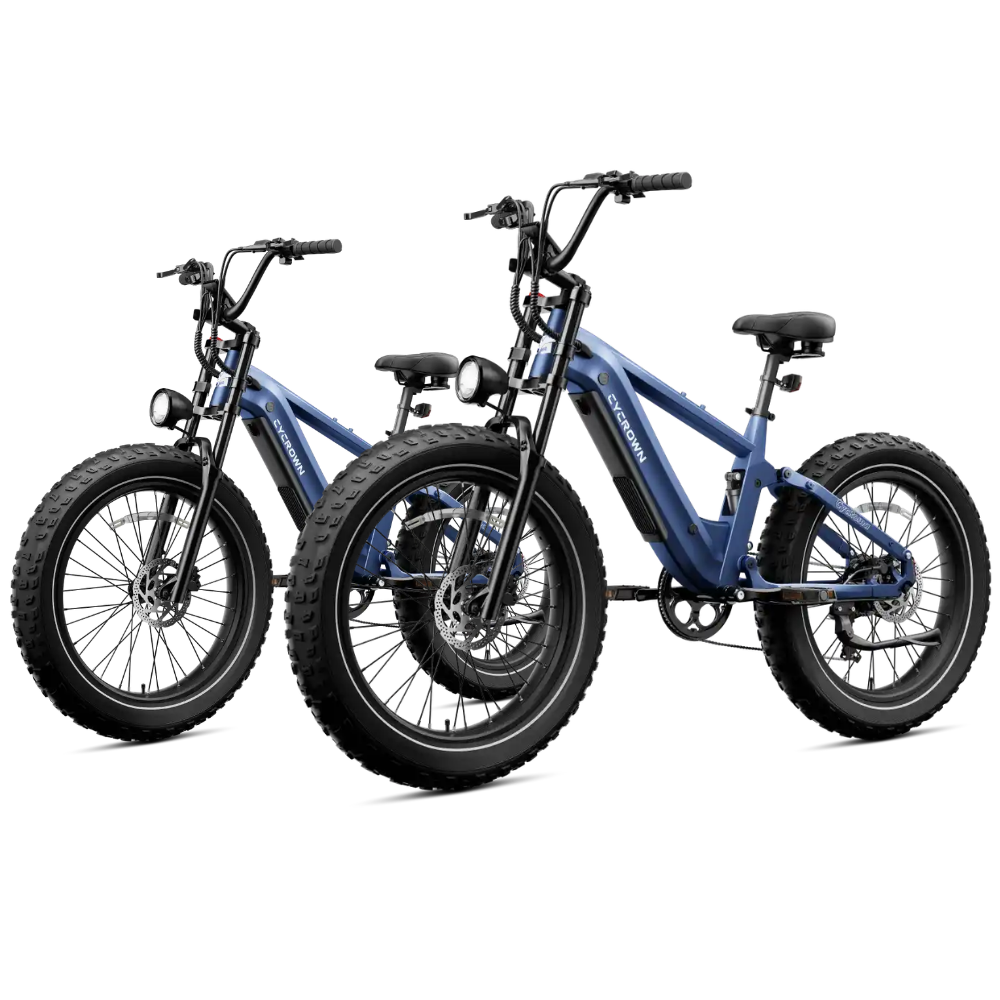Roma All-Terrain E-Bike