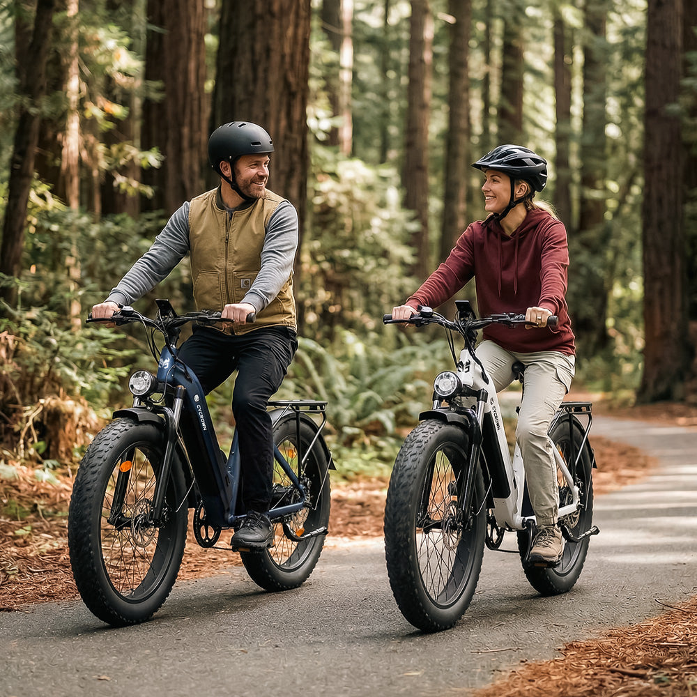 CycVerve Fat Tire Ebike