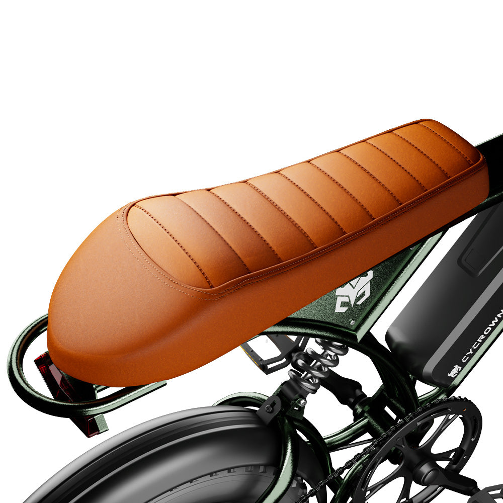 Run Mini Vintage Moped Ebike