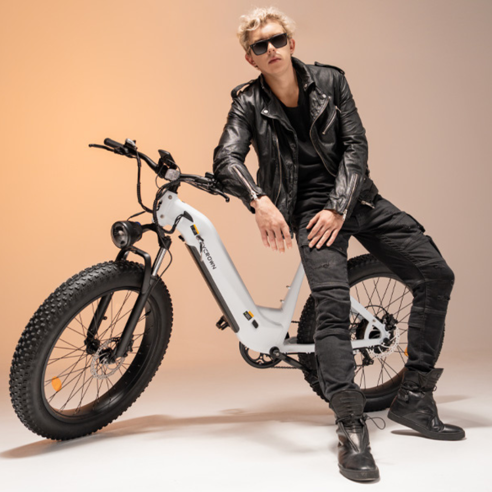 CycVerve Fat Tire Ebike