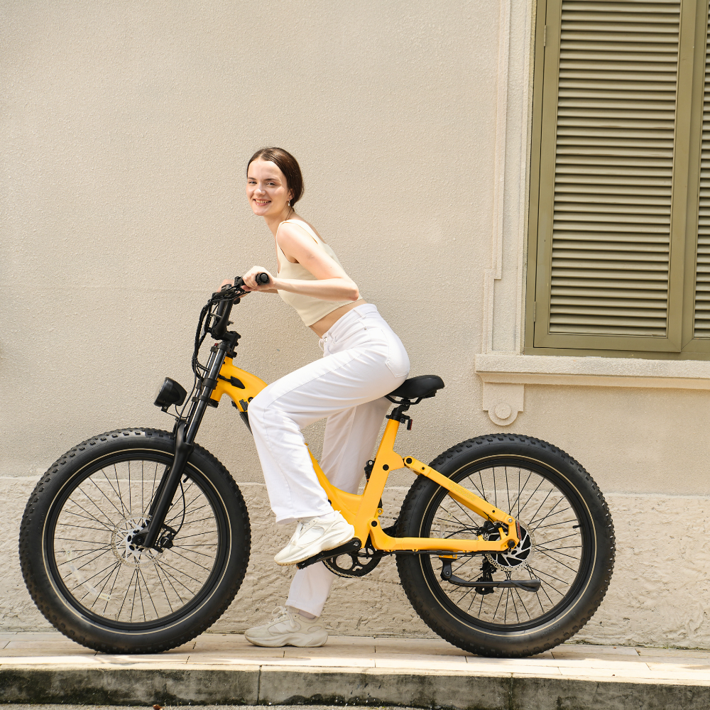Roma All-Terrain Step-through Ebike