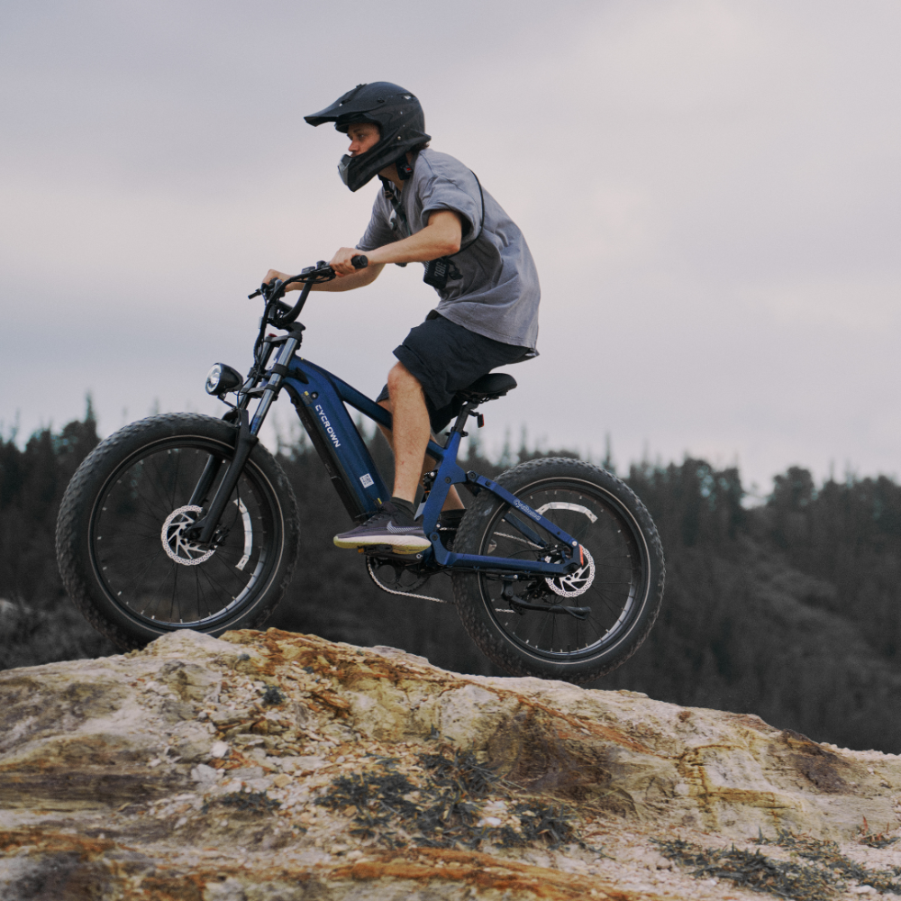 Roma All-Terrain Ebike