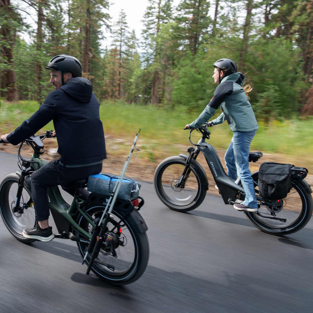 Nomad Pro Fat Tire Ebike