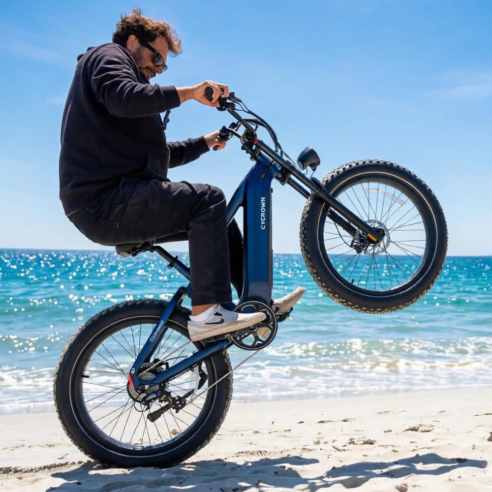 Roma All-Terrain Ebike