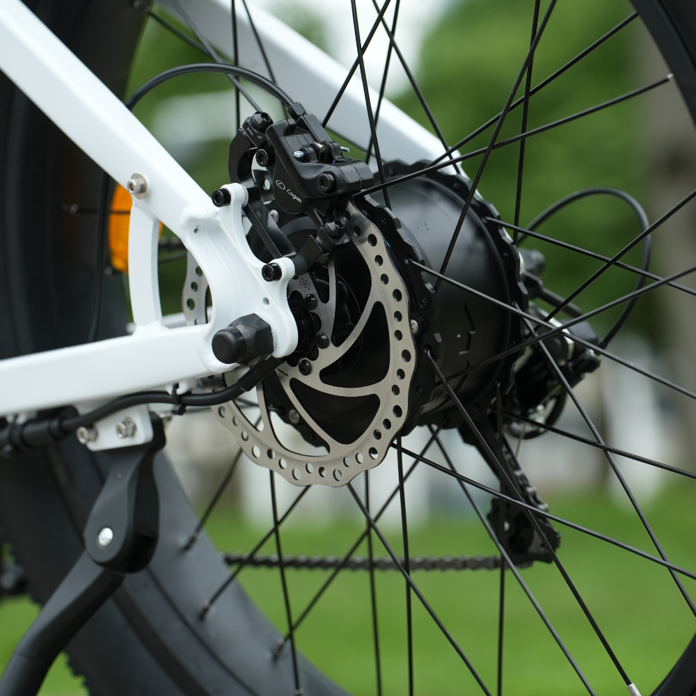 CycVerve Fat Tire Ebike