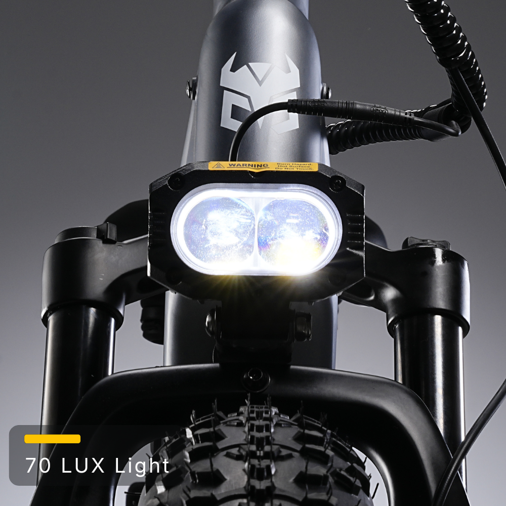 Nomad Pro Fat Tire Ebike