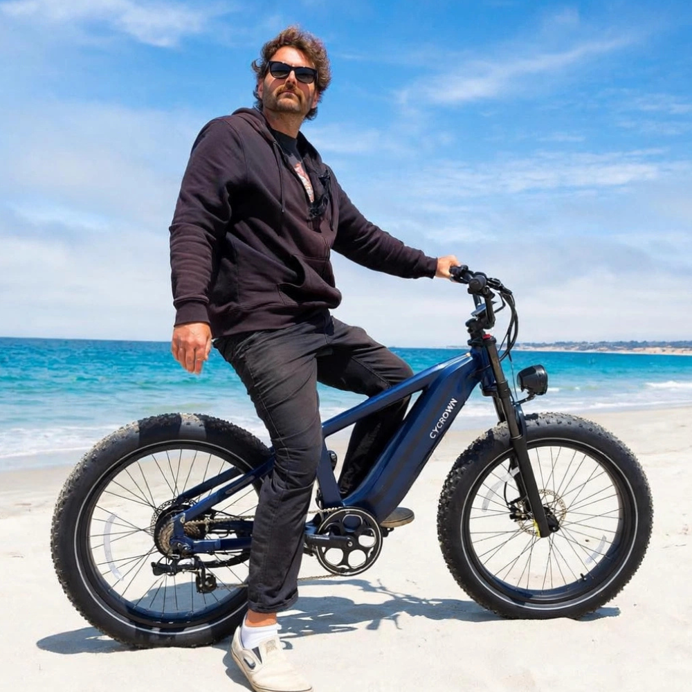 Roma All-Terrain Ebike