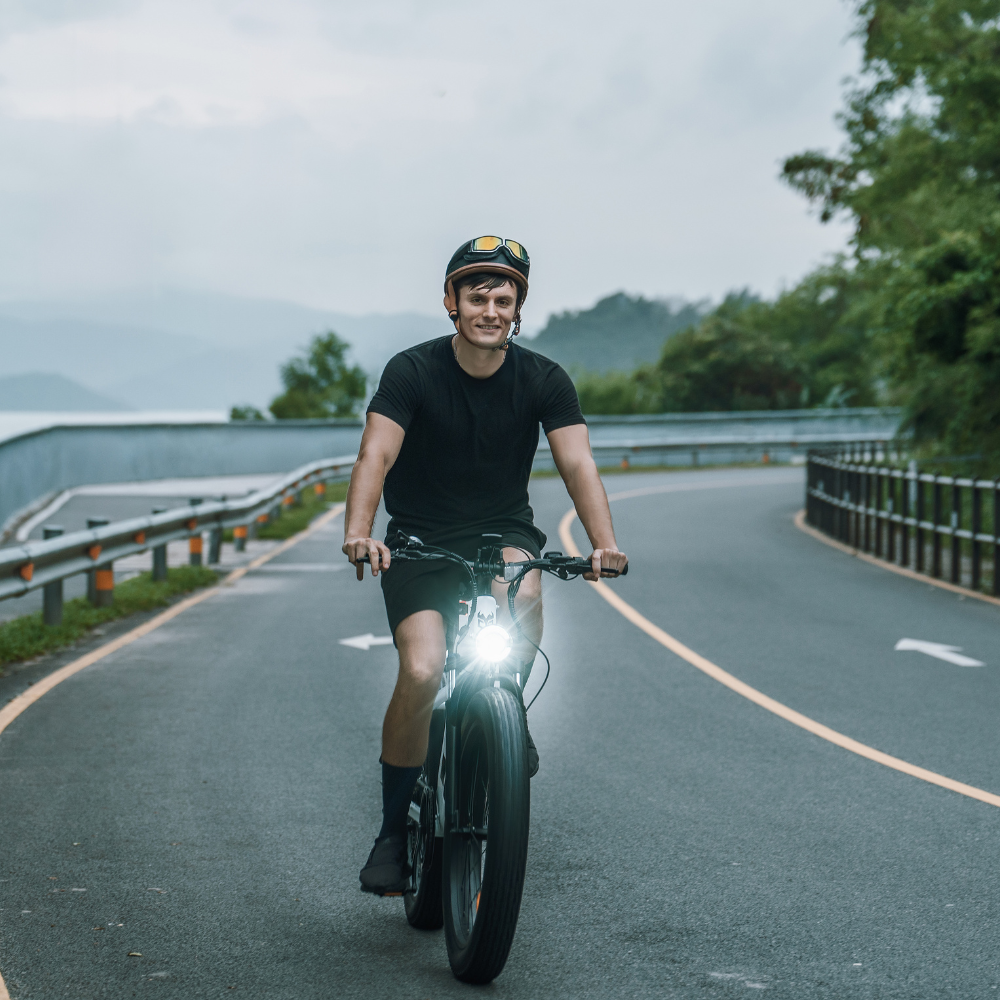CycVerve Fat Tire Ebike