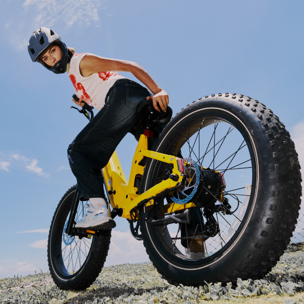 Roma All-Terrain Ebike