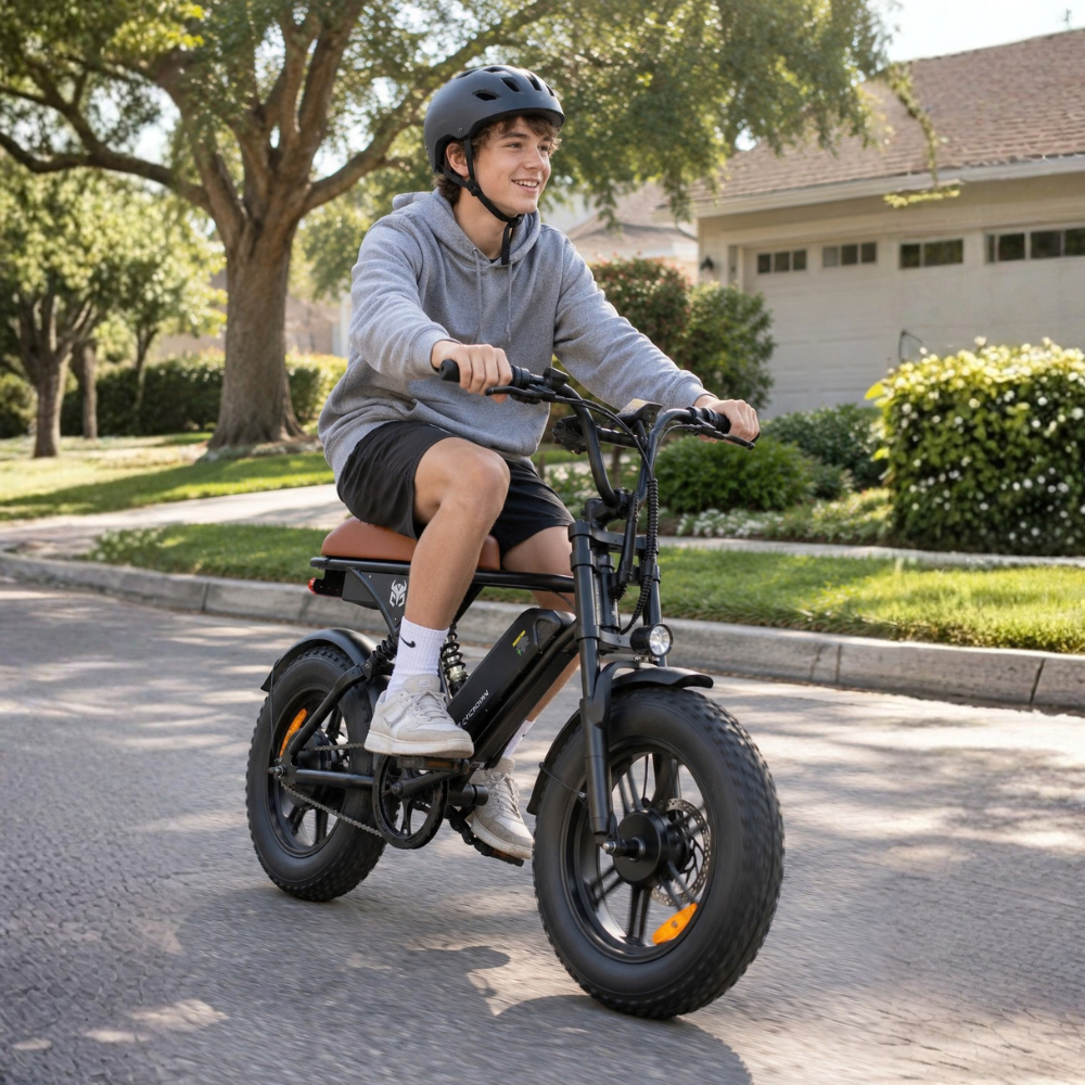 Run Mini Vintage Moped Ebike