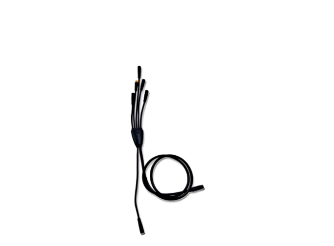 Main Cable