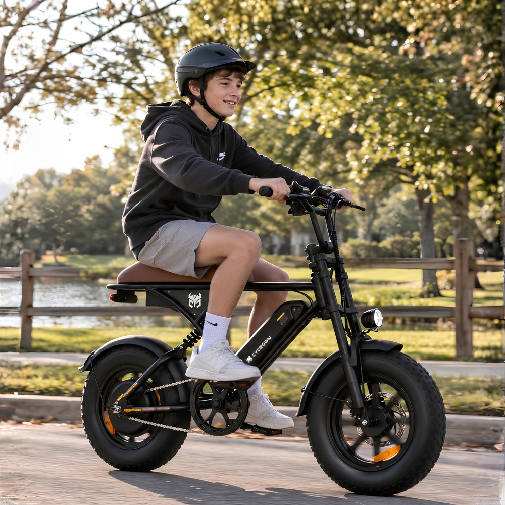 Run Mini Vintage Moped Ebike