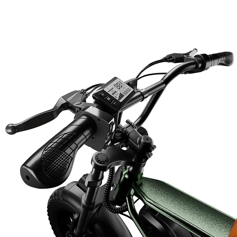 CycRun Vintage Moped Ebike