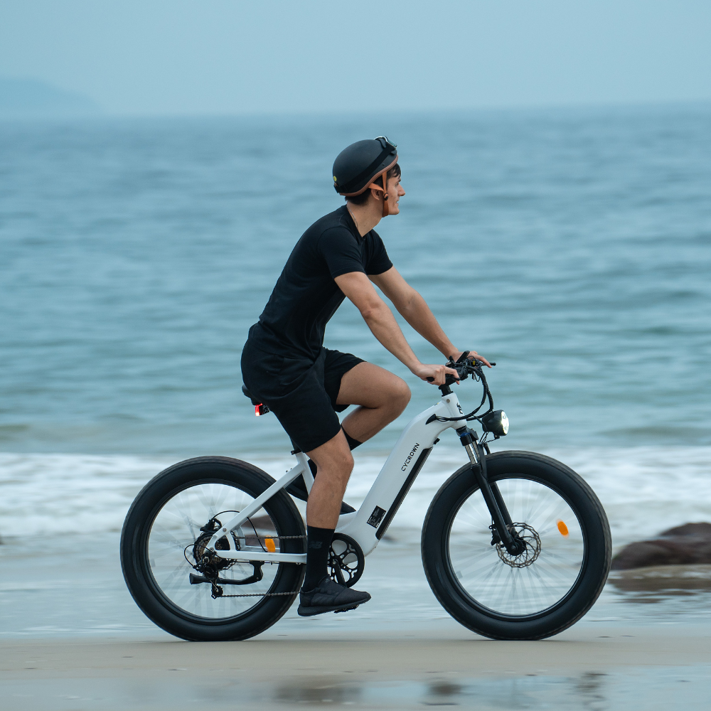 CycVerve Fat Tire Ebike