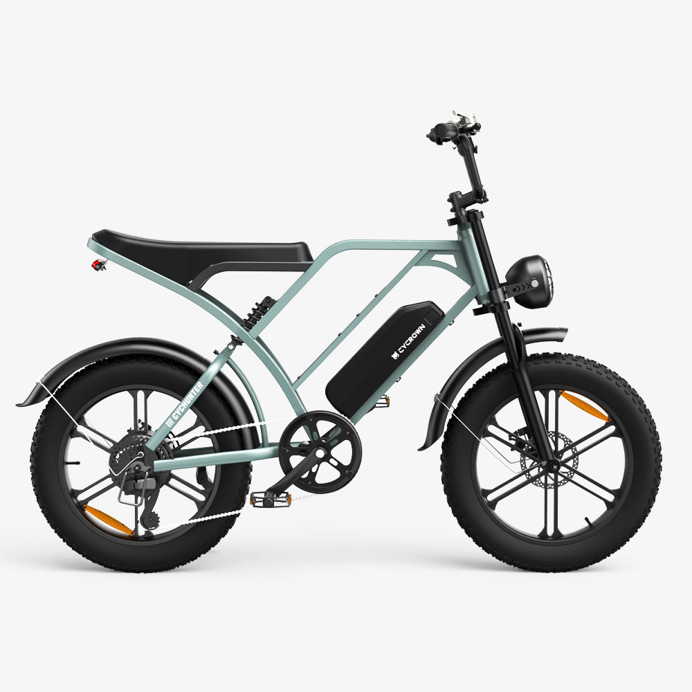 CycHunter Moped-Style Ebike