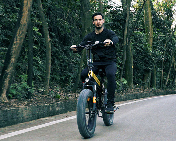 Touring electric bicycle home