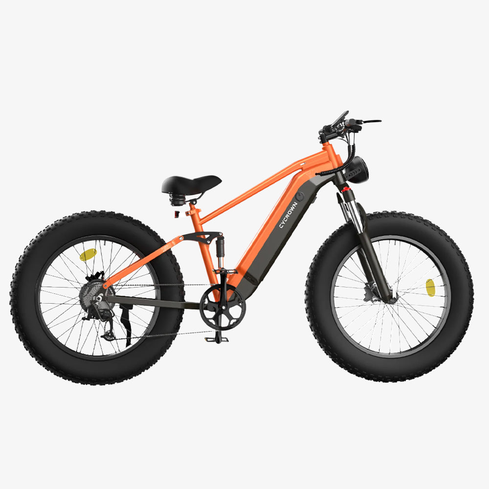 CycUltra All-terrain Ebike