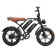 CycHunter Moped-Style Ebike