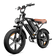 CycHunter Moped-Style Ebike
