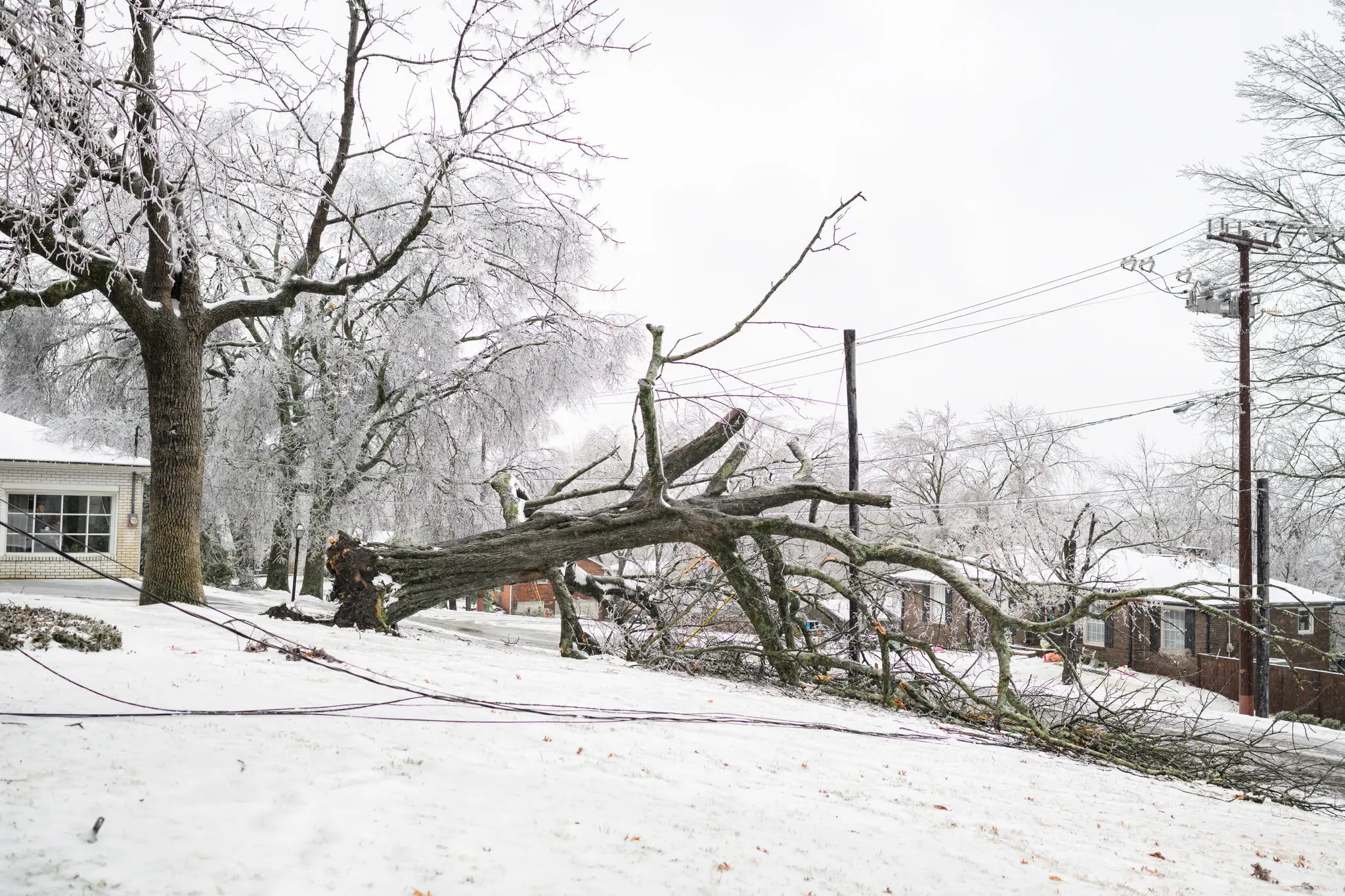 Important Delivery Update Regarding Winter Weather