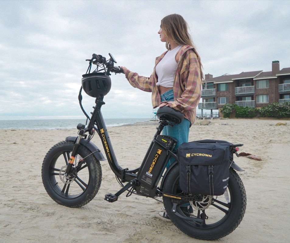 Meet CycFree Electric Bike