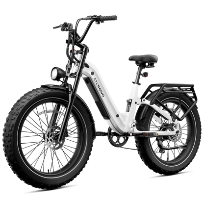 Roma All-Terrain Ebike