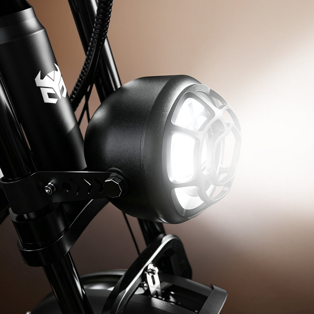 CycHunter 2.0 Moped-Style Ebike