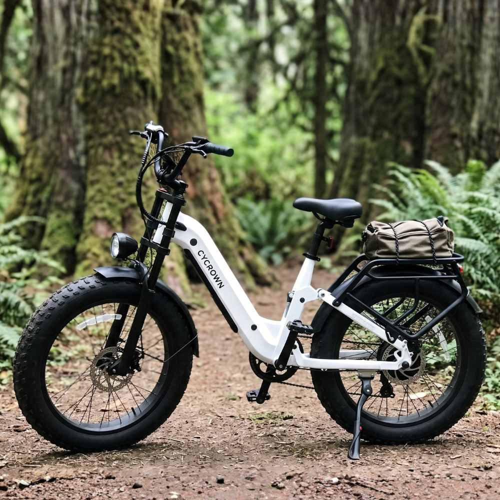 Roma All-Terrain Ebike