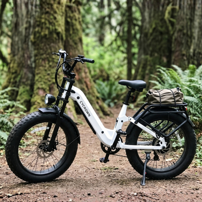 Roma All-Terrain Ebike