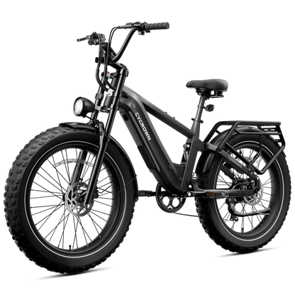 Roma All-Terrain Ebike