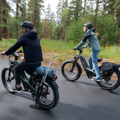 Nomad Pro Fat Tire Ebike