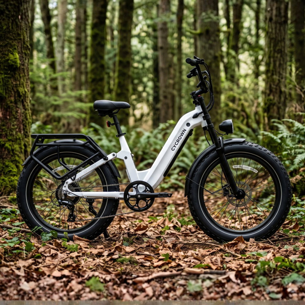 Roma All-Terrain Ebike
