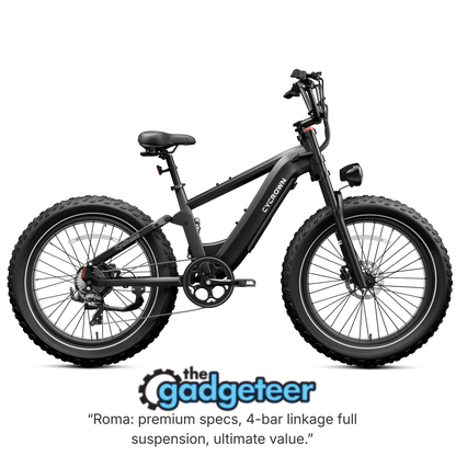 Roma All-Terrain Ebike
