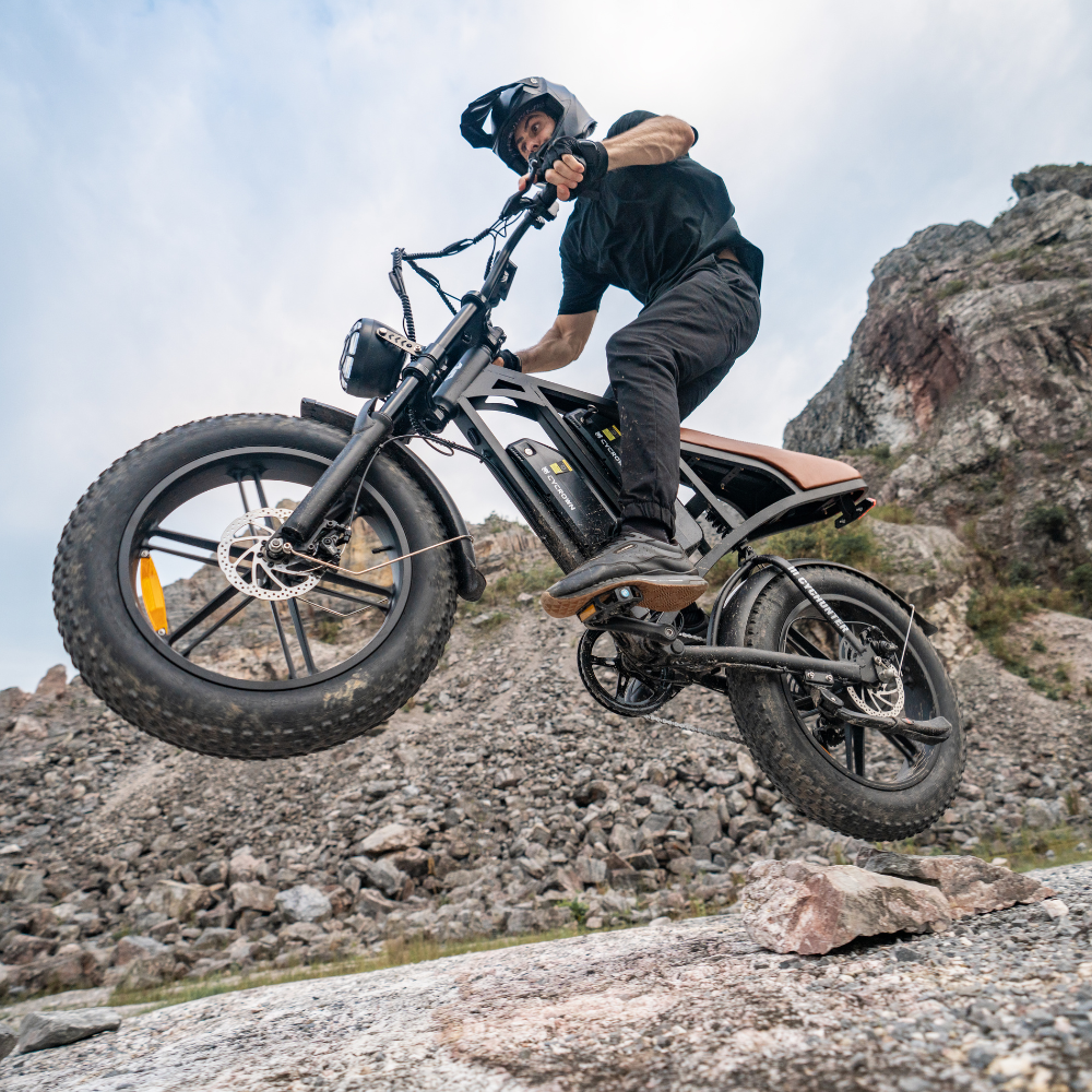 CycHunter Moped-Style Ebike