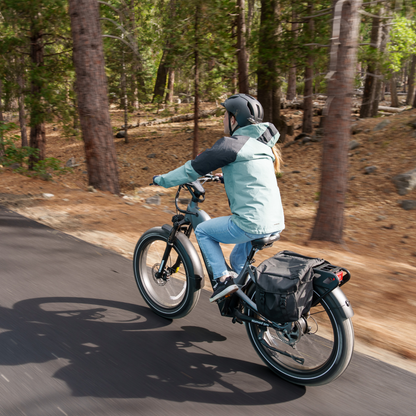 Nomad Pro Fat Tire Ebike