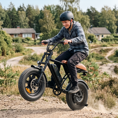 Run Mini Vintage Moped Ebike