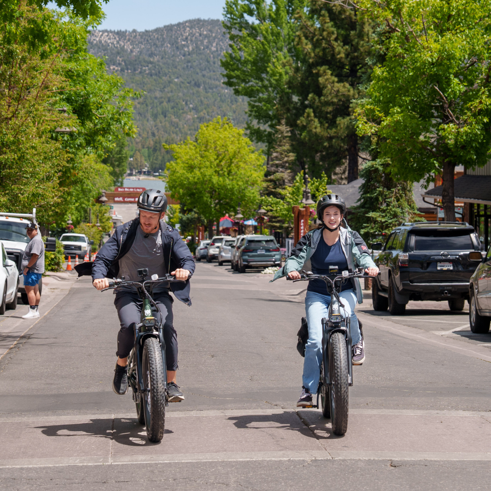 Nomad Pro Fat Tire Ebike