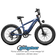 Roma All-Terrain Ebike