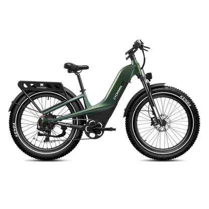 Nomad Pro Fat Tire Ebike